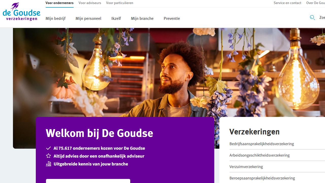 De Goudse insurance platform overview